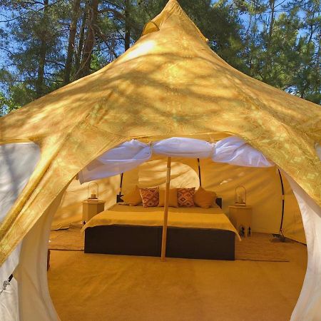 Vinsan Glamping & Wellness Centre Hotel Eleousa Екстериор снимка