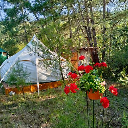 Vinsan Glamping & Wellness Centre Hotel Eleousa Екстериор снимка
