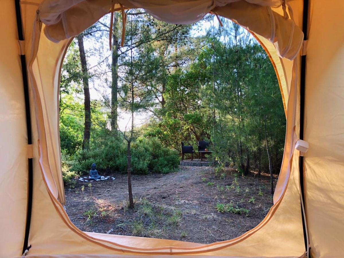Vinsan Glamping & Wellness Centre Hotel Eleousa Екстериор снимка