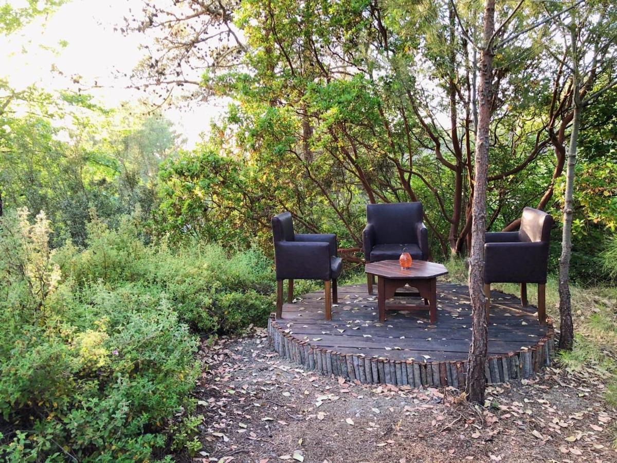Vinsan Glamping & Wellness Centre Hotel Eleousa Екстериор снимка