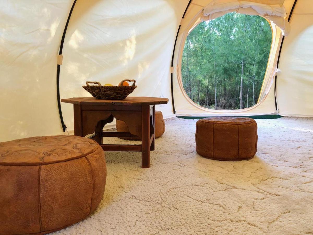 Vinsan Glamping & Wellness Centre Hotel Eleousa Екстериор снимка